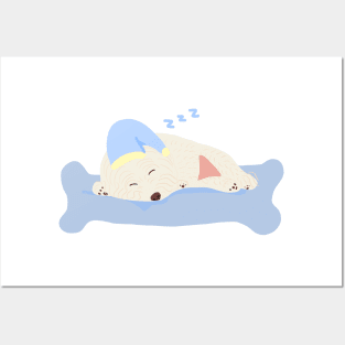 Sleeping Maltipoo Posters and Art